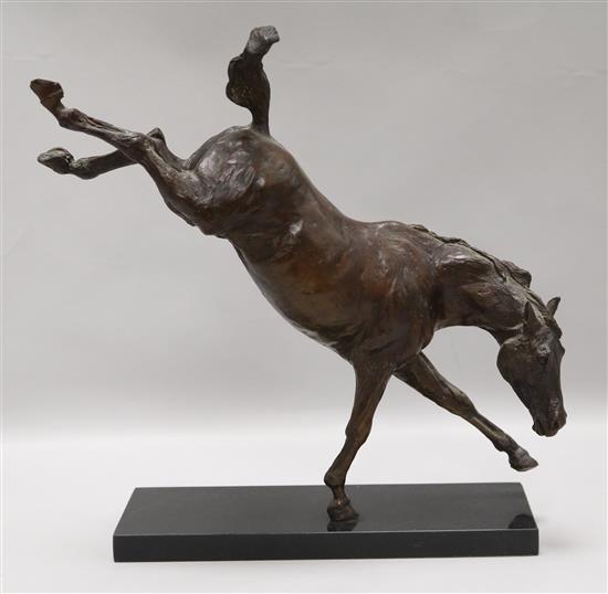 A bronze of a horse kicking, on stand height 34cm
